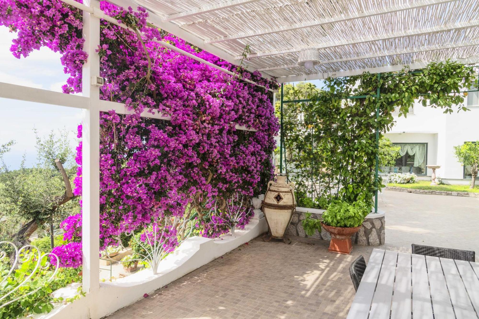 La Canostra Capri - Luxury Room Ad Anacapri Anacapri (Isola di Capri) Exterior foto